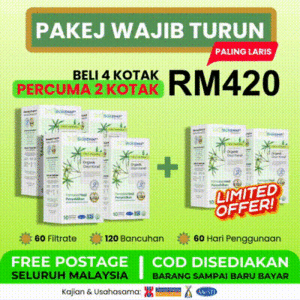 (HOT SELLING HARI GAJI) Pakej Wajib Turun Berat 4 Kotak Free 2 Kotak Biokenaf